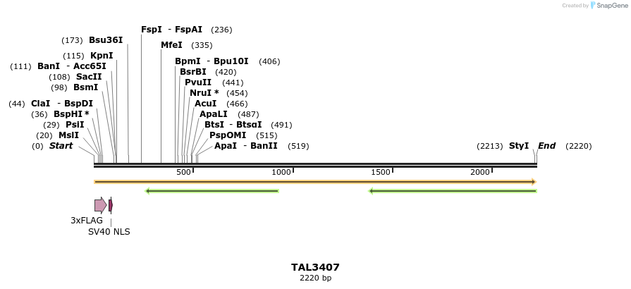 67213_map