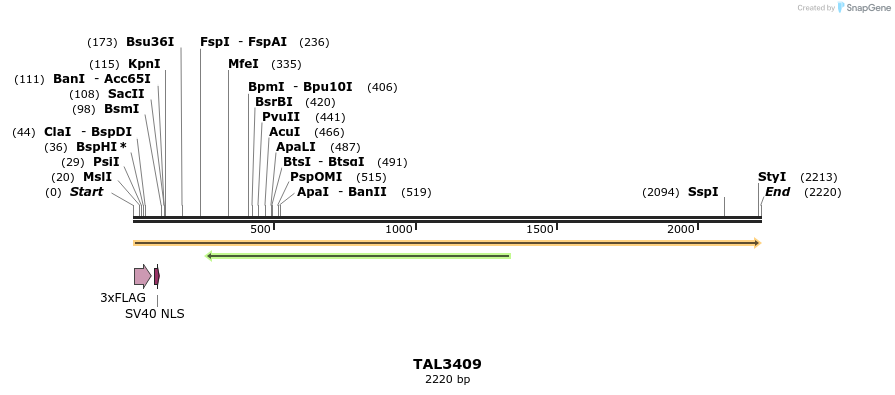 67215_map