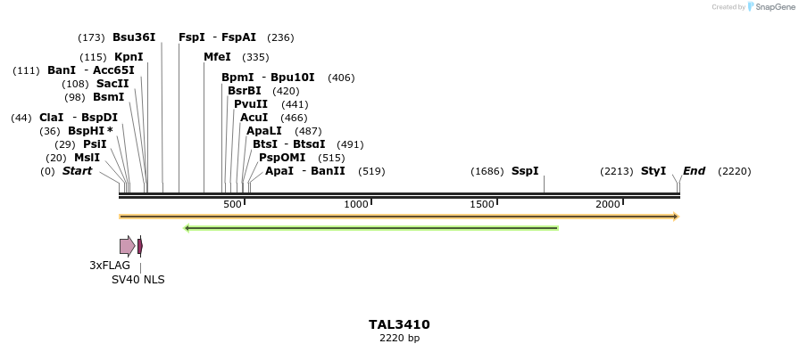 67216_map
