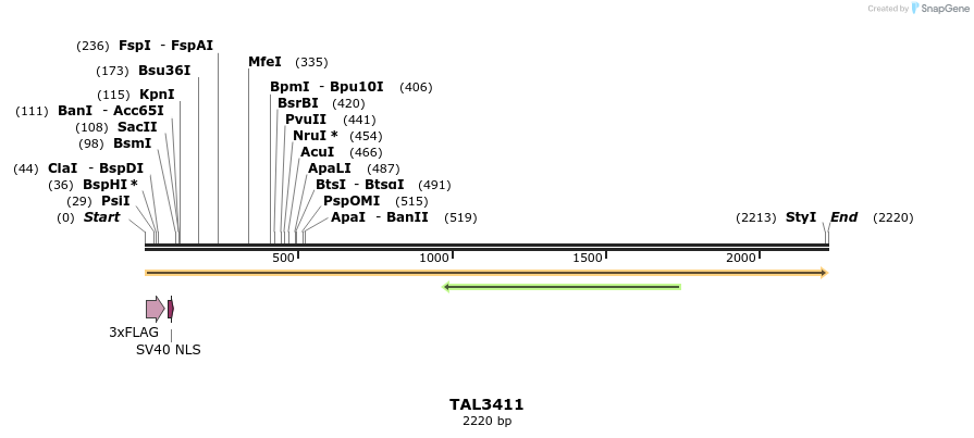 67217_map