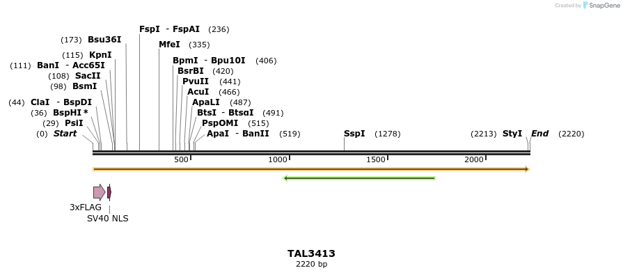 67219_map