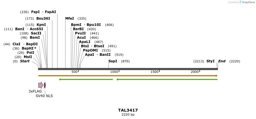 67223_map
