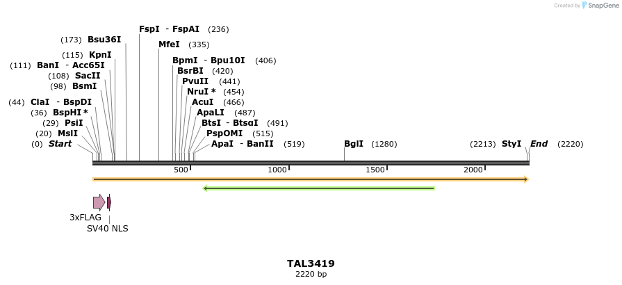 67225_map