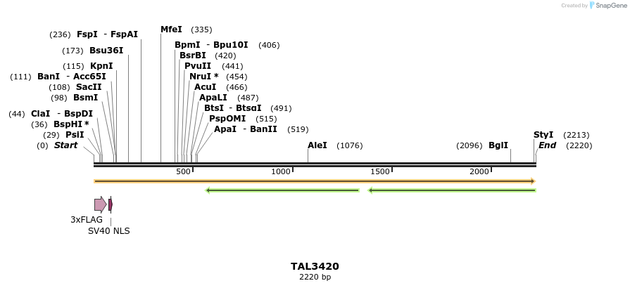 67226_map
