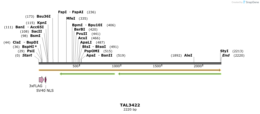 67228_map