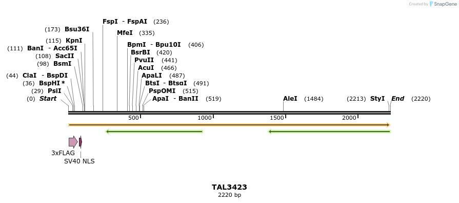 67229_map