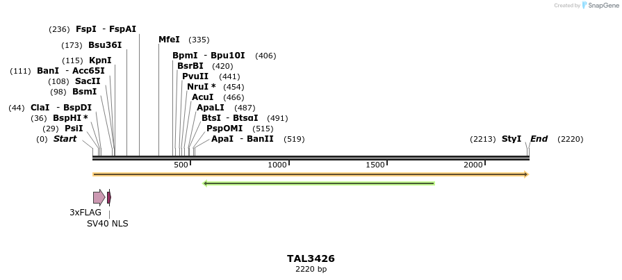 67232_map