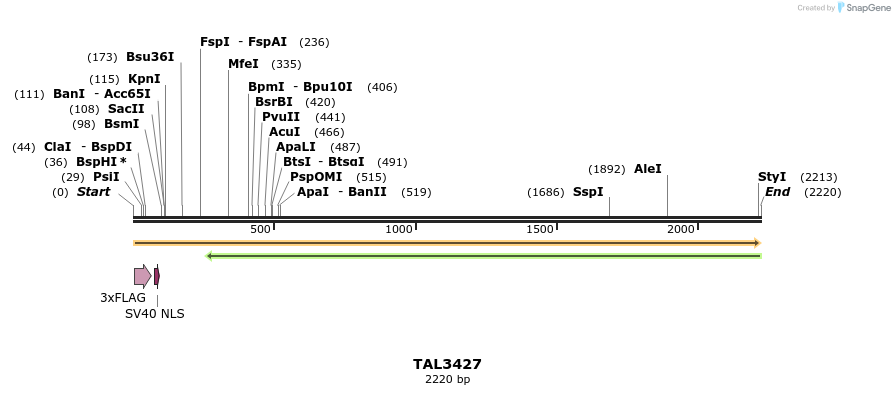 67233_map