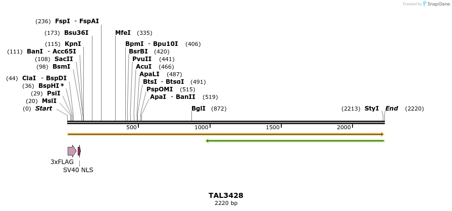 67234_map