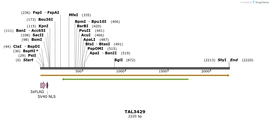 67235_map