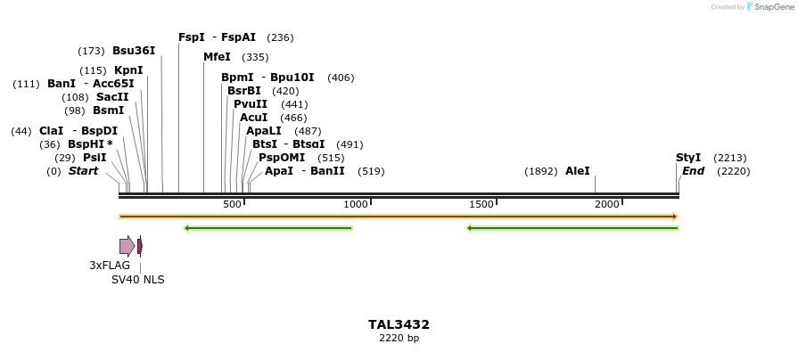 67238_map