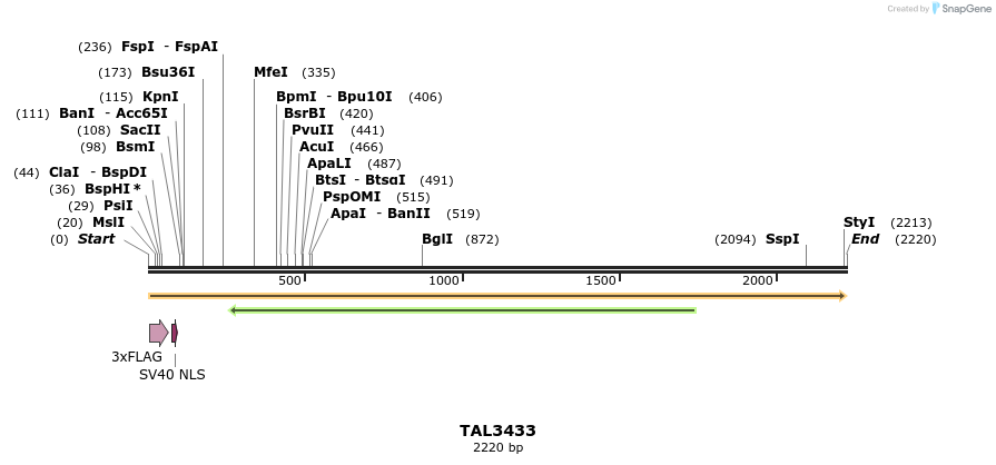 67239_map
