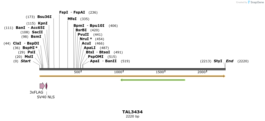 67240_map