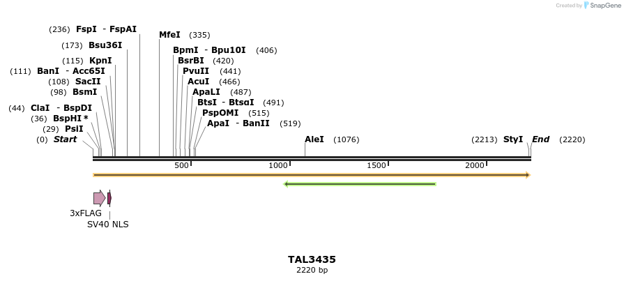 67241_map