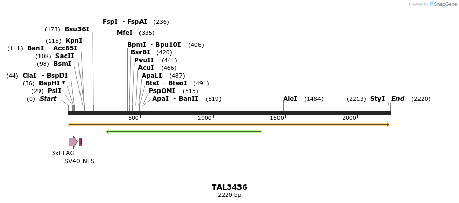 67242_map