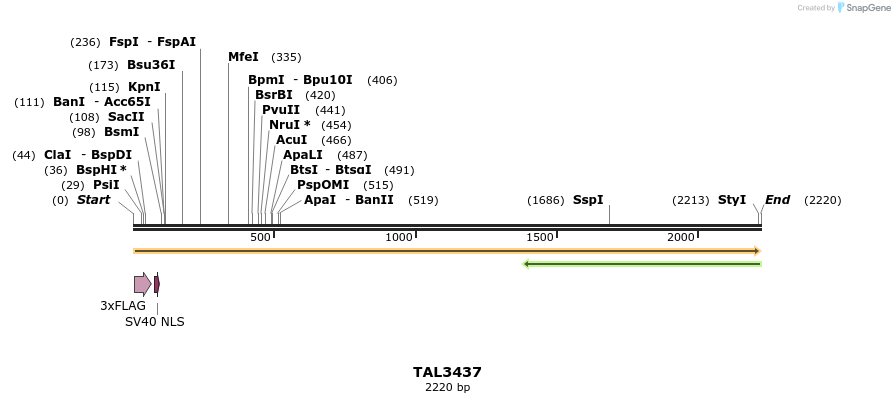 67243_map