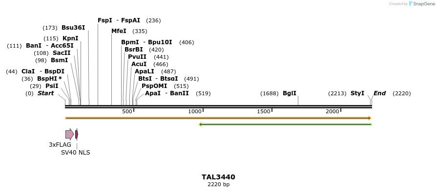 67246_map