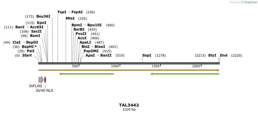 67248_map