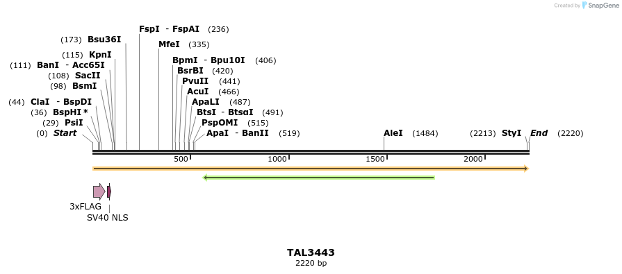 67249_map
