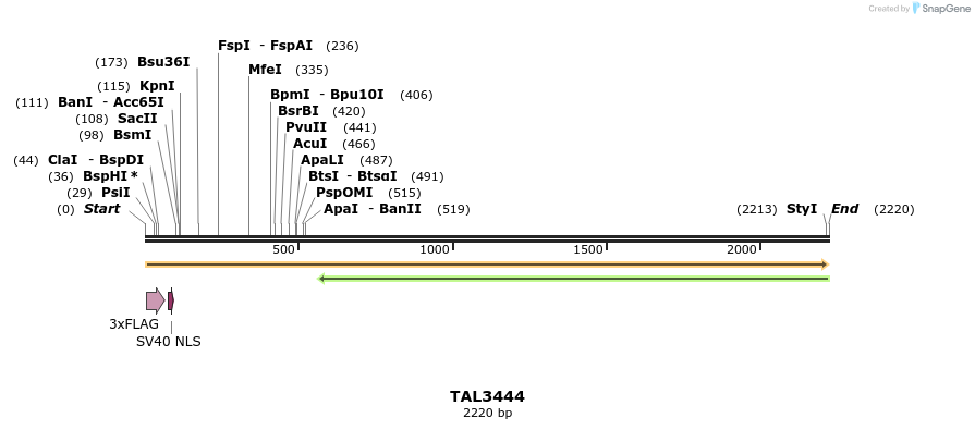 67250_map