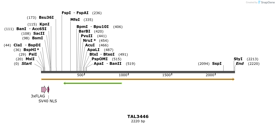 67252_map