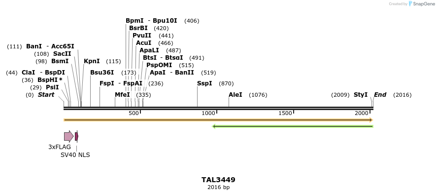 67255_map
