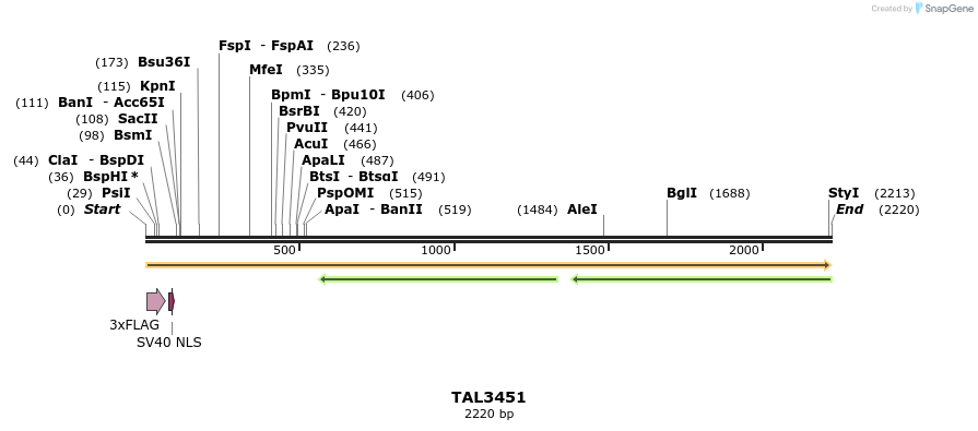 67257_map