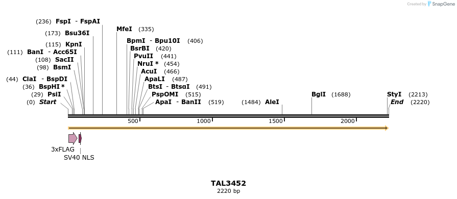 67258_map