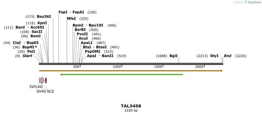 67264_map