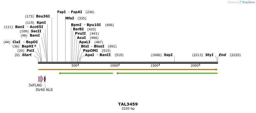 67265_map