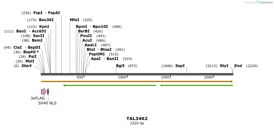 67268_map