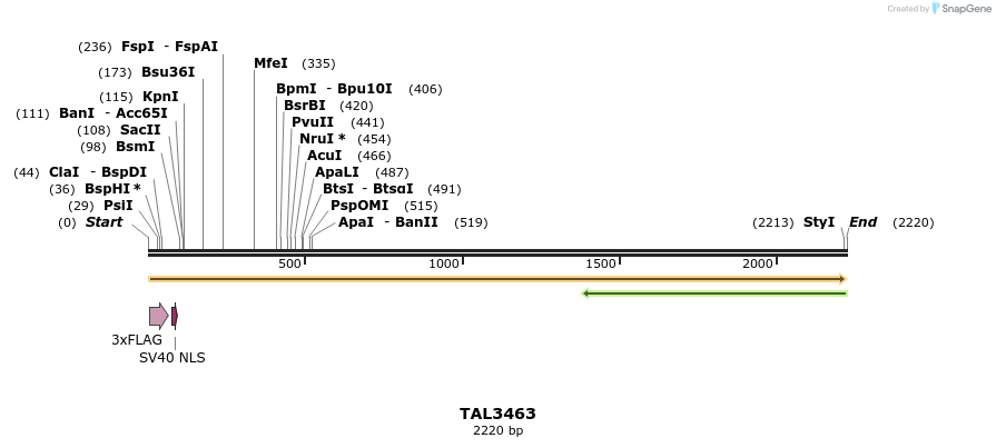 67269_map