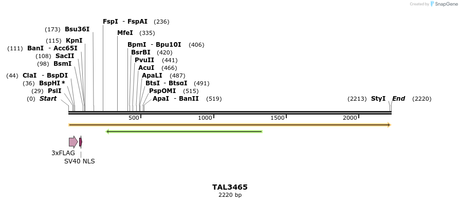 67271_map