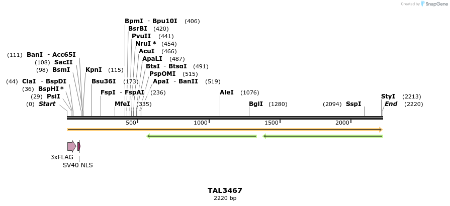 67273_map