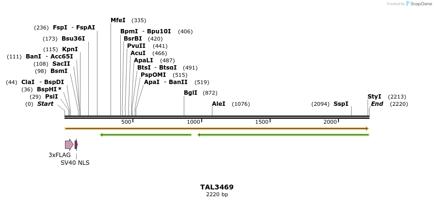 67275_map