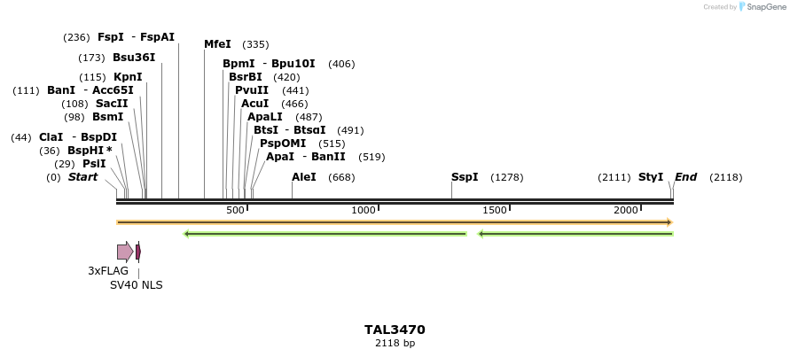 67276_map