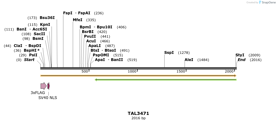 67277_map
