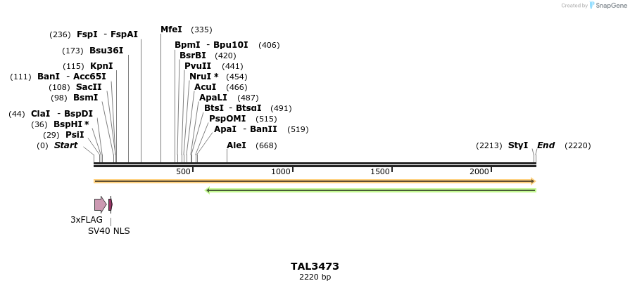 67279_map