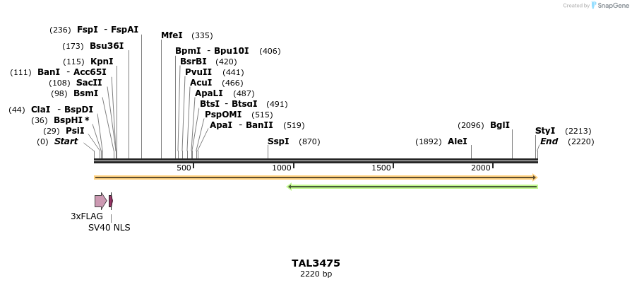 67281_map