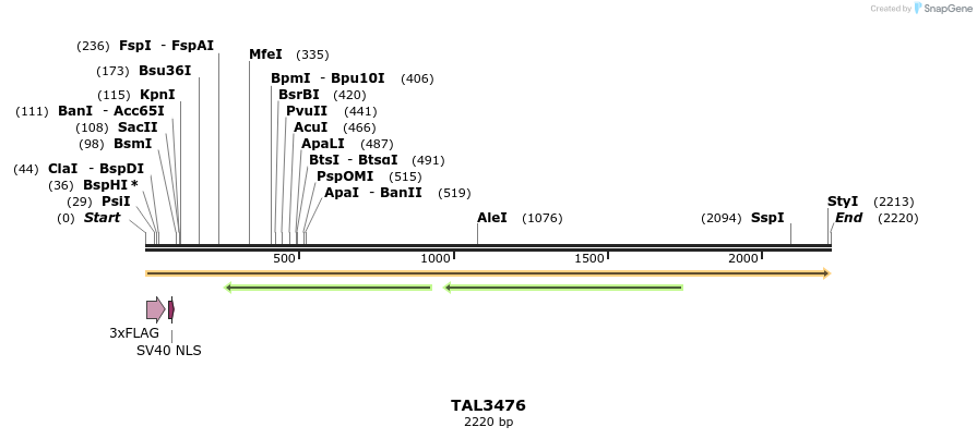 67282_map
