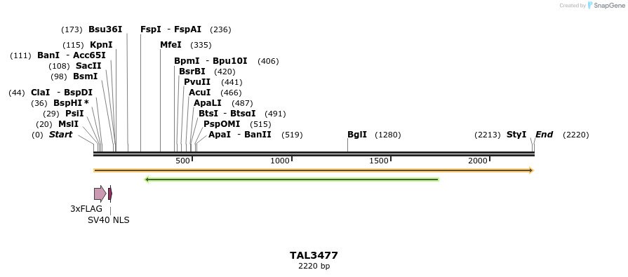 67283_map