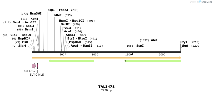 67284_map
