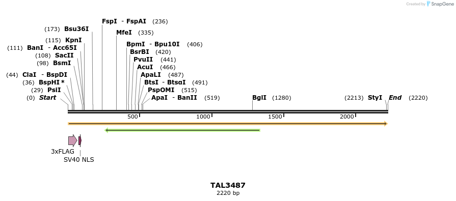 67293_map