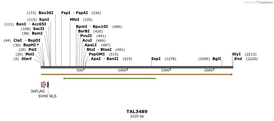 67295_map