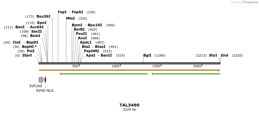 67296_map
