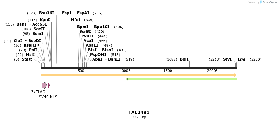 67297_map