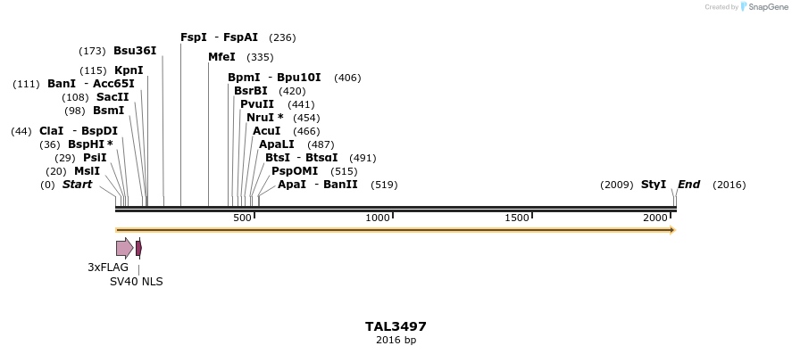 67303_map