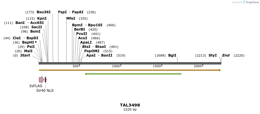 67304_map