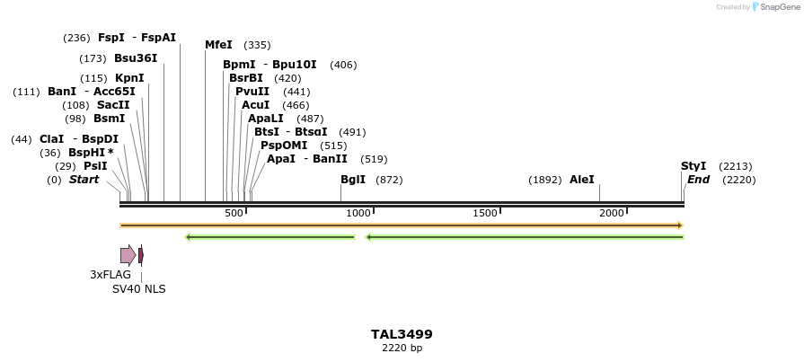 67305_map
