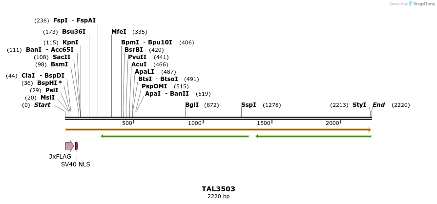 67309_map